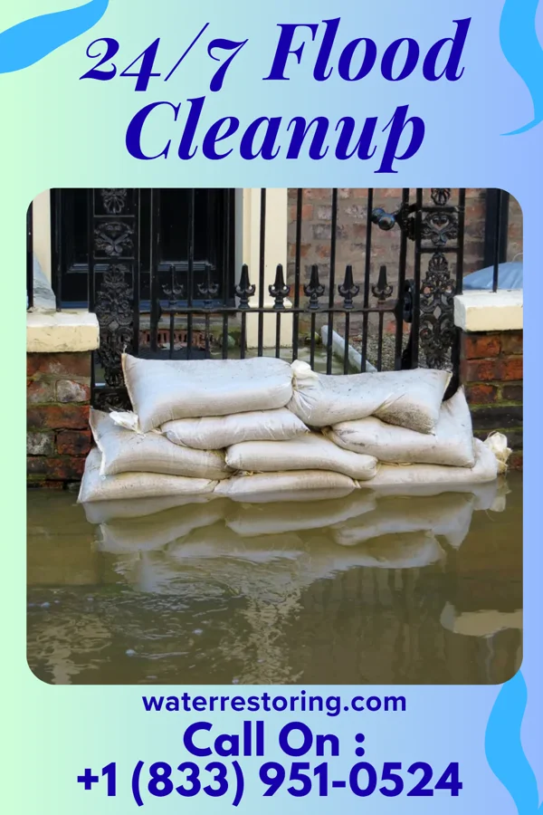 24/7 Flood Cleanup in Lennon, MI