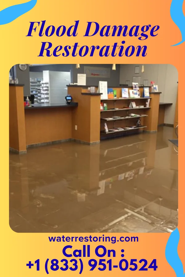 Flood Damage Restoration in Lennon, MI