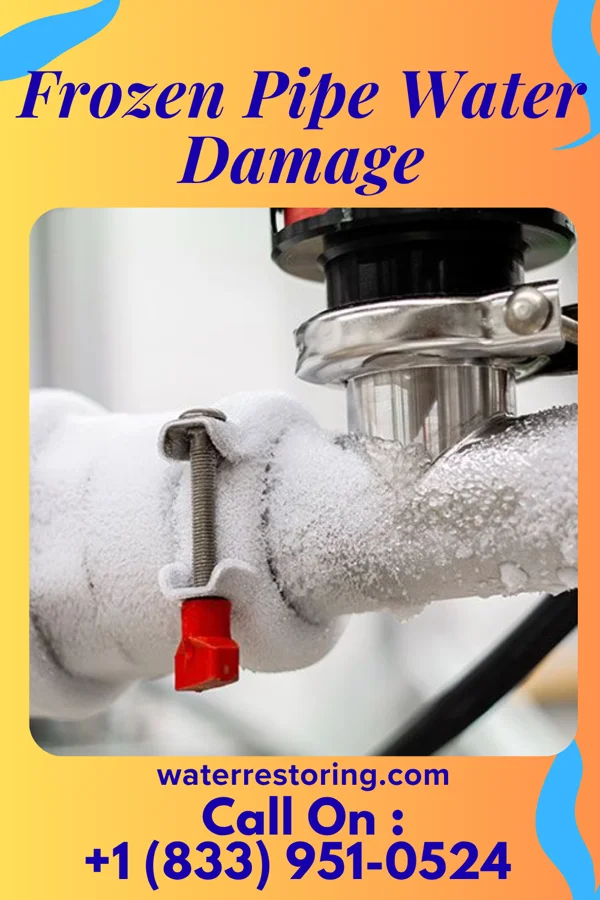 Frozen Pipe Water Damage in Lennon, MI