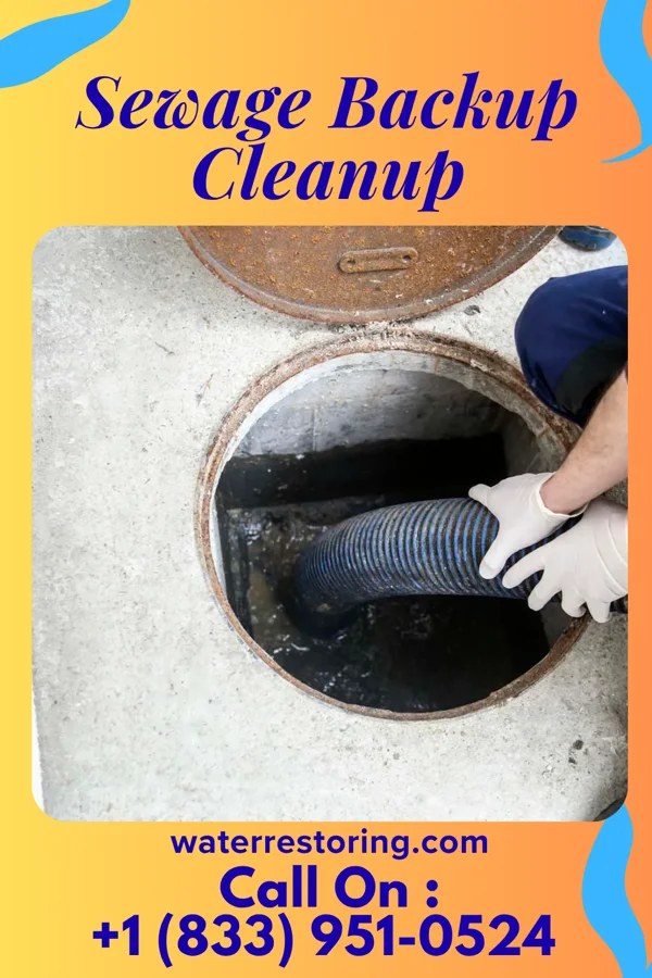 Sewage Backup Cleanup in Lennon, MI