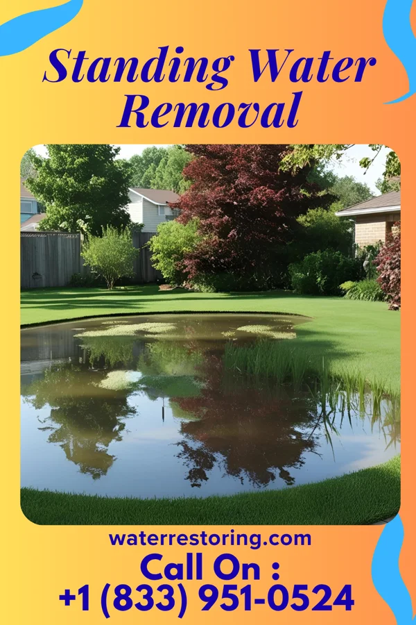 Standing Water Removal in Lennon, MI